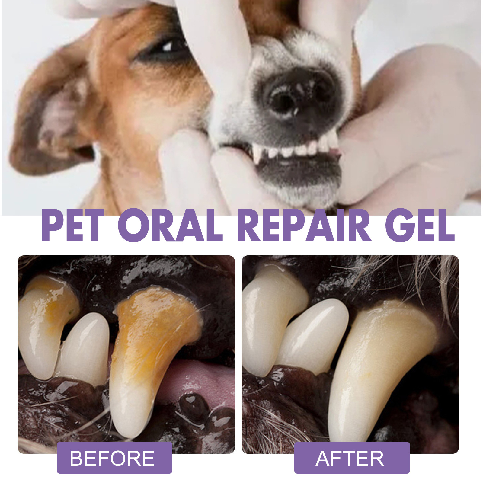 Huisdier Orale Reparatie Gel P - Teeth Whitening Doctor recensie en prijs